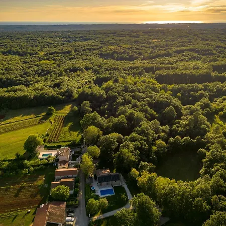 Vila Ferlini In Istria With Private 10000 M2 Garden, Wellness & Family Activities On Plot Svetvincenat